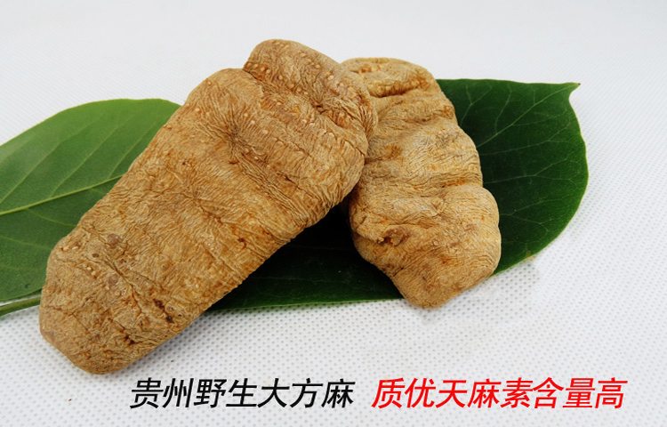 毕节市大方县旅游攻略一日游路线,毕节地区旅游攻略大全最新