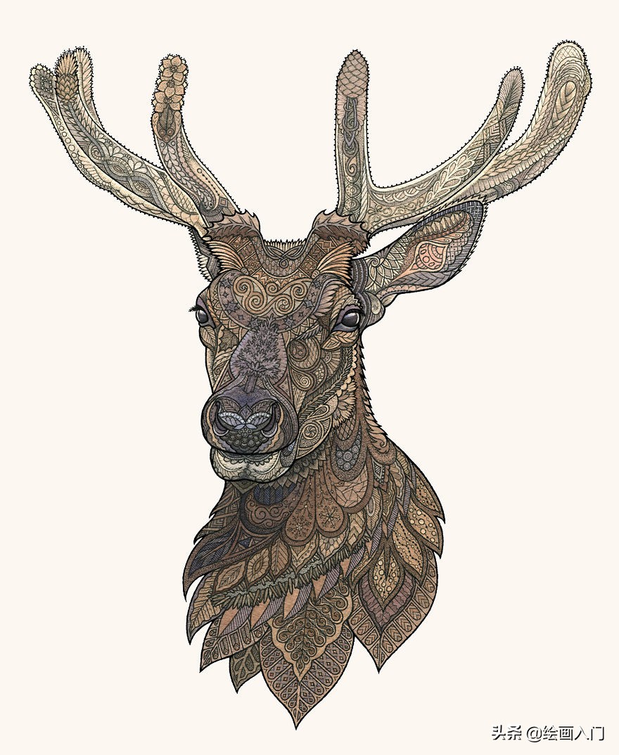 复古气息的几何图形插画,插画师的动物花卉水彩插画作品