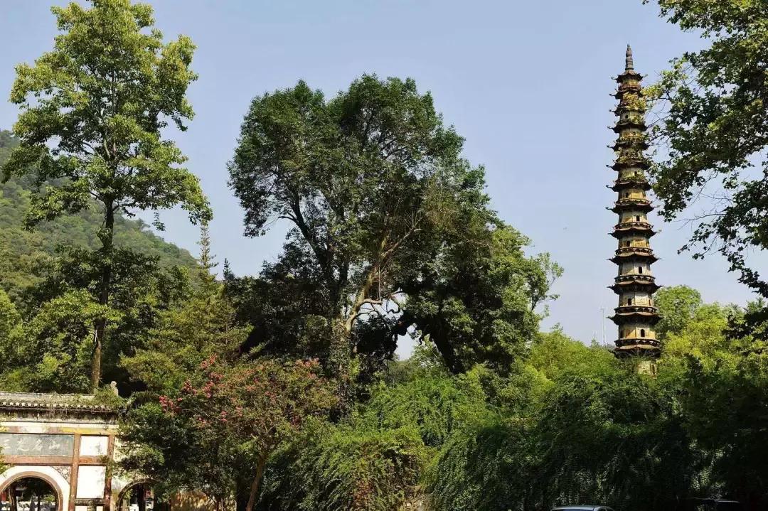 糯米糍粑舌尖上的中国,糯米也能用来做建筑材料