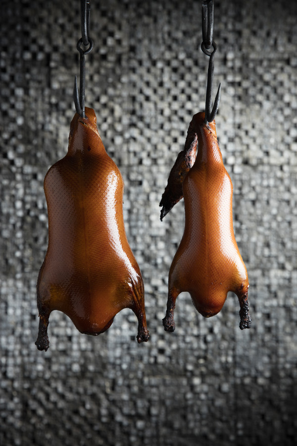 皇家加勒比海洋量子号与光谱号,皇家加勒比海洋量子号全解析