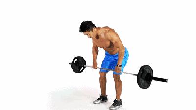 最高效的健身房一周训练计划,新人健身房健身一周训练计划