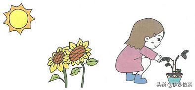 三年级语文部编版专项练习,部编版三年级语文第六单元练习题