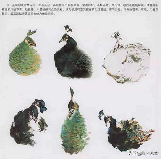 梁桂霖国画孔雀的画法视频,孔雀眼睛画法国画