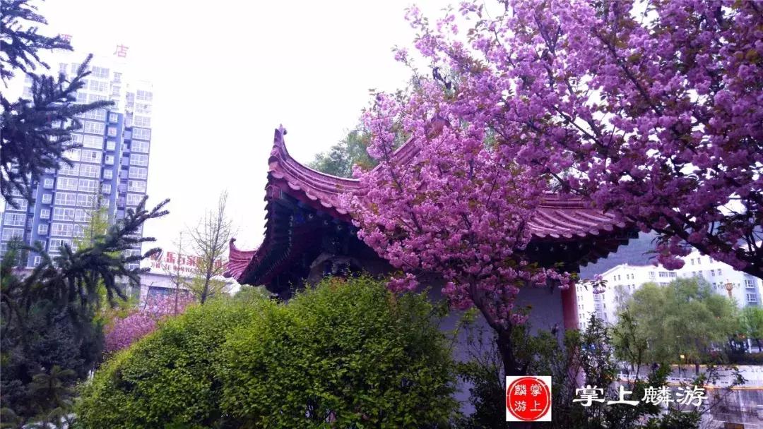 麟游旅游攻略一日游,宝鸡五一游攻略