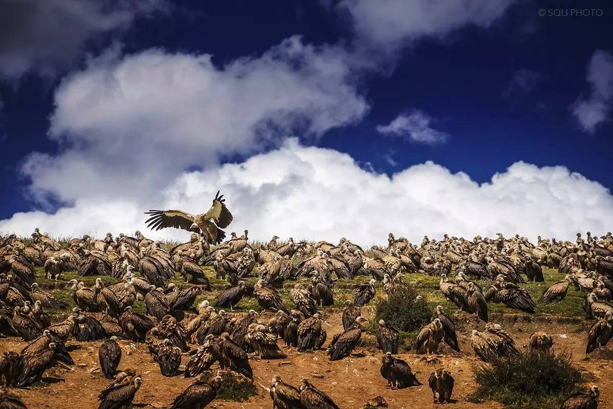 骨灰多年后会变成什么样,骨灰长时间会变成什么样