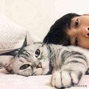 猫咪分离焦虑症怎么治疗,分离焦虑症猫咪