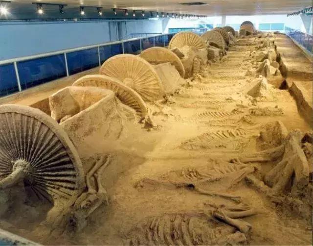 济青高铁潍坊段,济青高铁2020年全线通