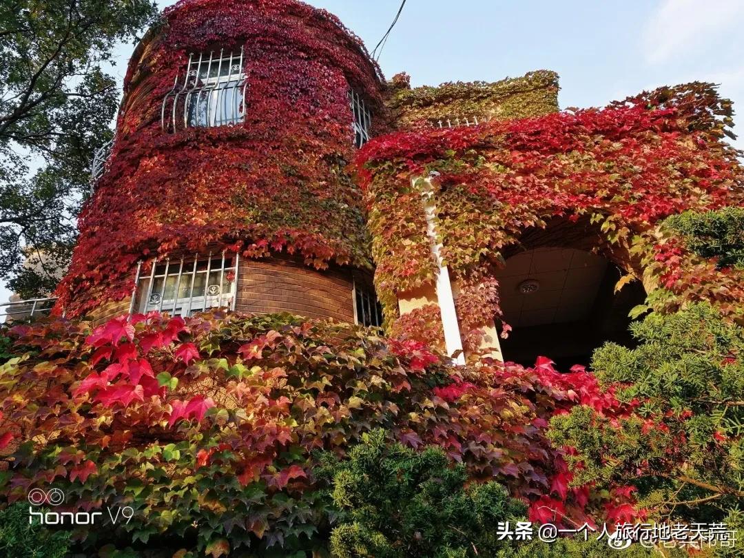 大连最浪漫的十个地方,大连浪漫景色