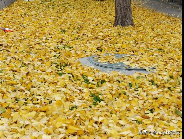 贵州空中怪车现在怎么样了,贵州ufo空中怪车事件真相