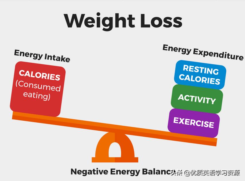 英语healthyfood视频,healthyfood英语外研版