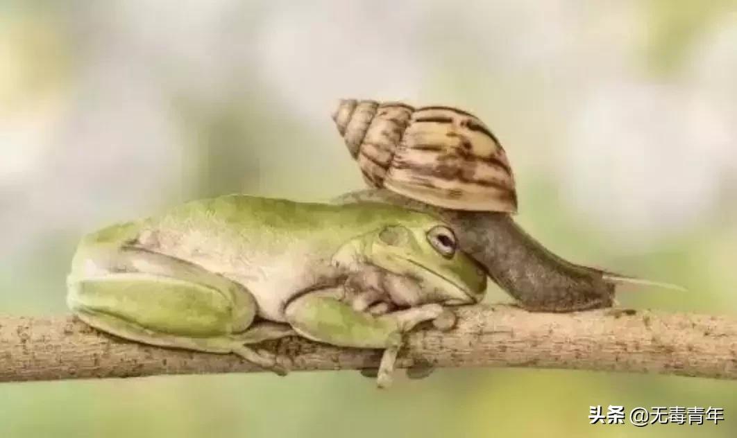 被囚34年取精，被迫亲手杀死爱子，最后只能挣扎着死去…