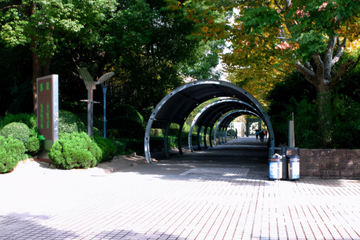 上海65岁以上老人免费公园,上海免费开放公园