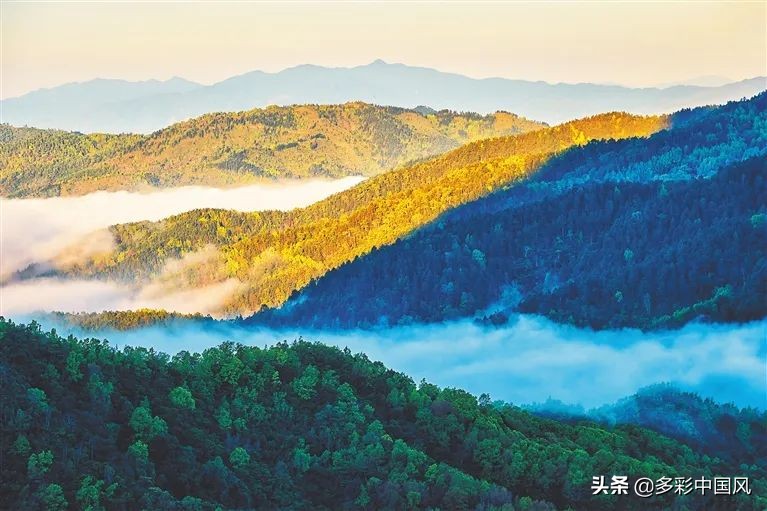 海南天然氧吧舒适景点,海南岛热带天然森林