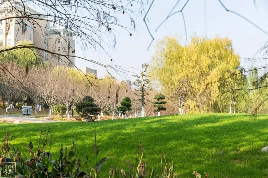 这样的青春，混迹过黄家湖大学城的人都会懂