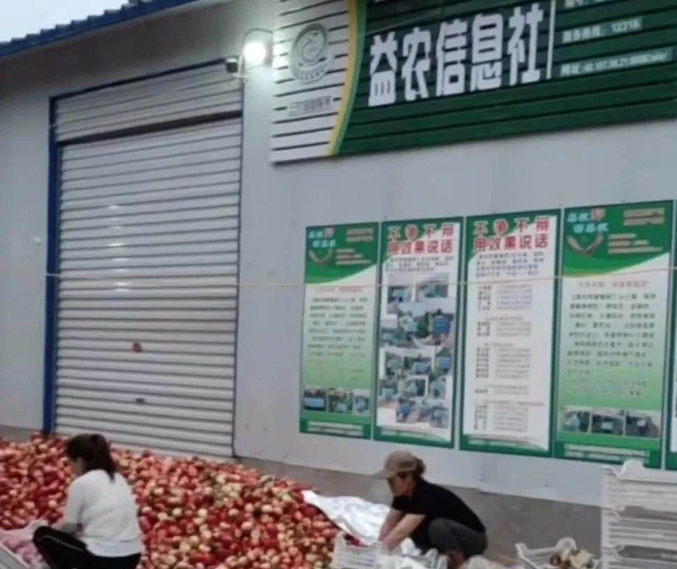 从退伍兵到群众贴心人,从退役军人到乡村致富领路人