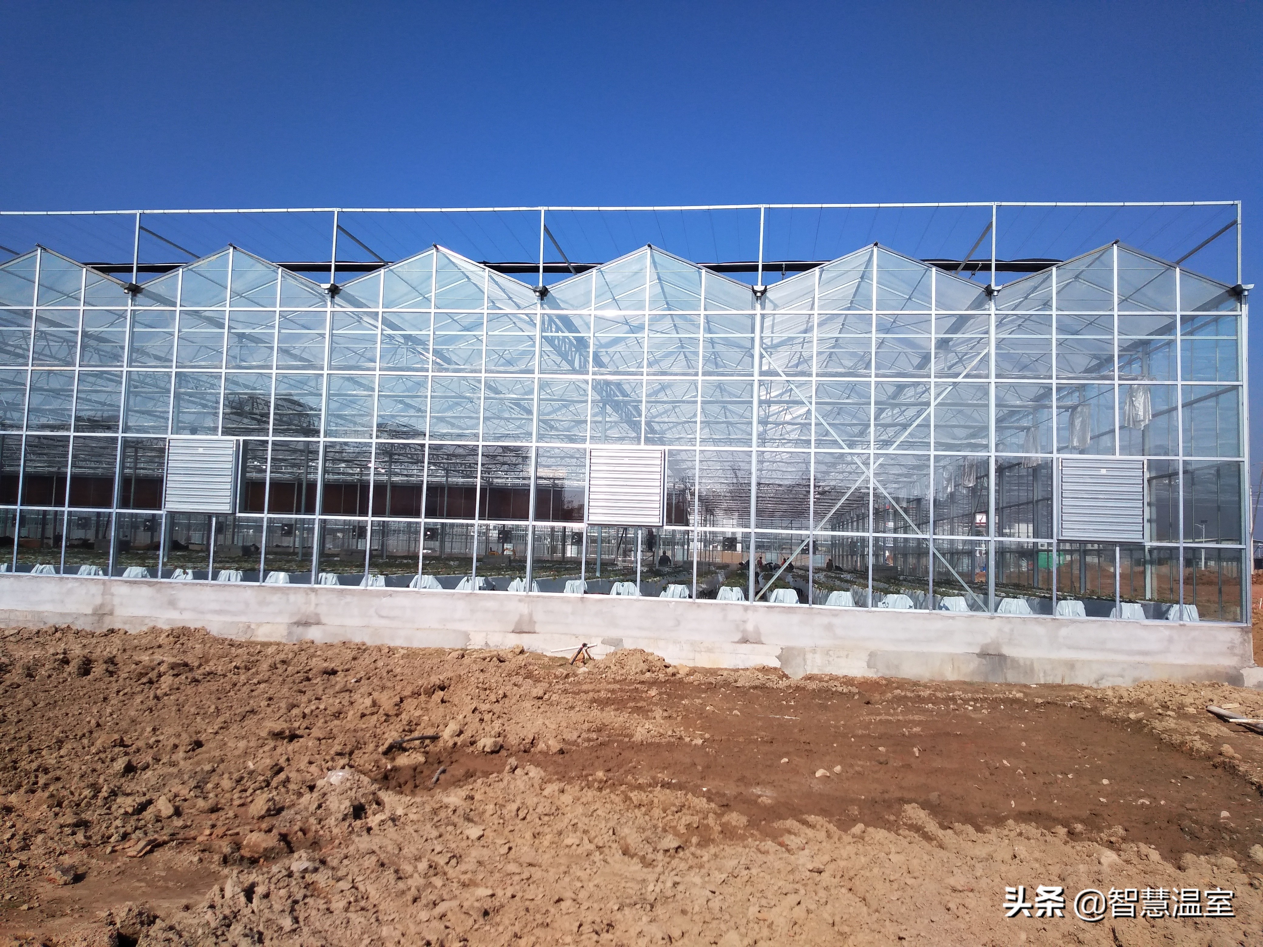 温室大棚生态餐厅合法吗,大棚绿色生态餐厅设计