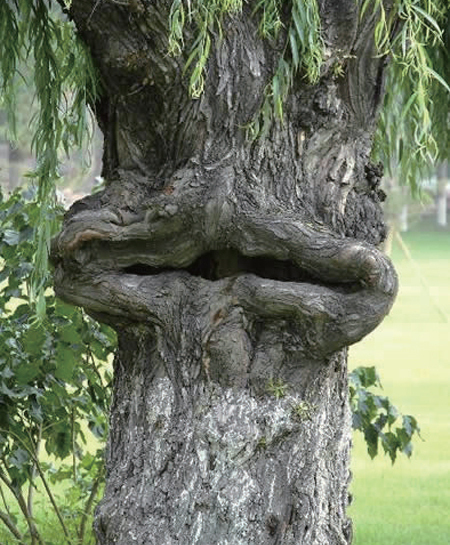 印度尼西亚苏门答腊岛和爪哇岛,为什么印尼的人口集中在爪哇岛