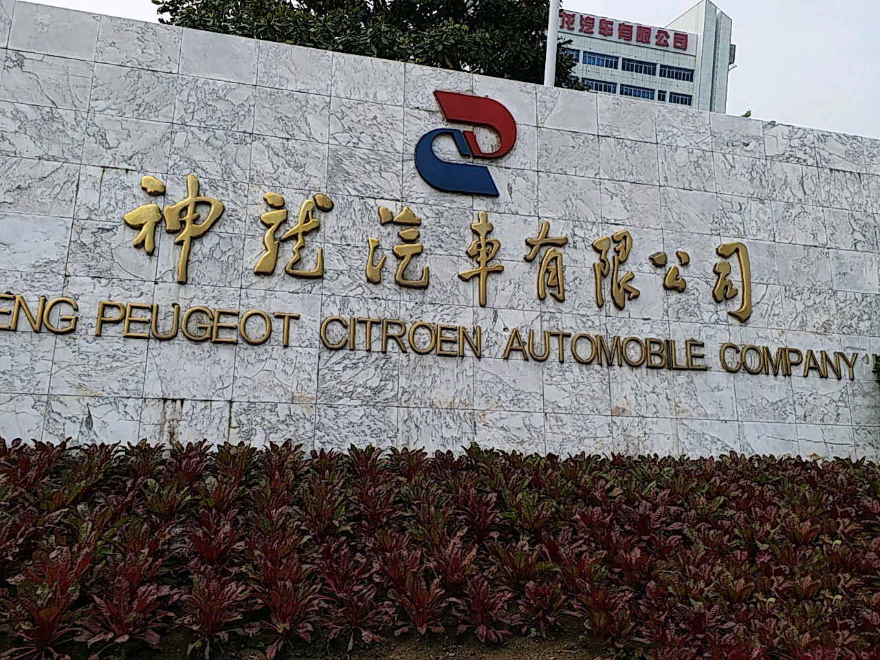 神龙汽车销量最新消息,神龙汽车业绩