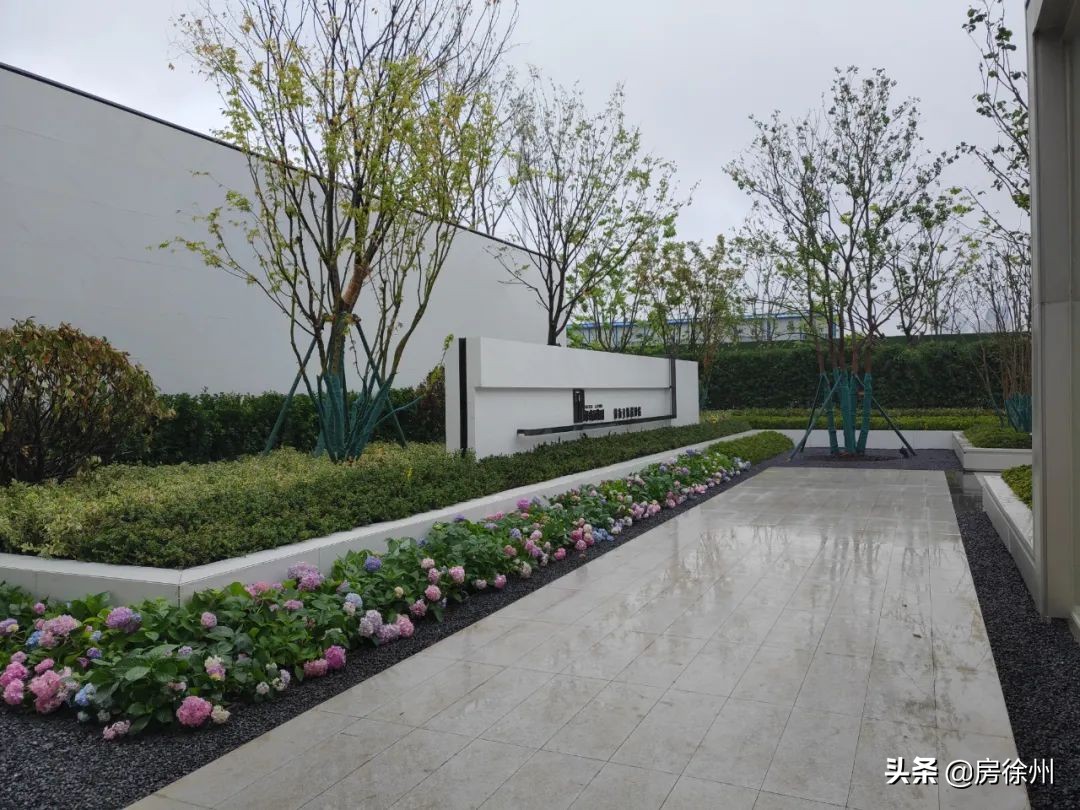 徐州鼓楼区绿城诚园110户型,徐州天宸和绿城诚园哪个好