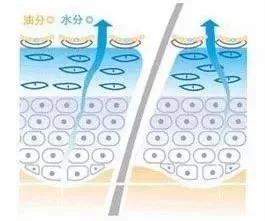 毛孔大到能插秧收敛只需这三步,毛孔粗到可以插秧该怎么自救