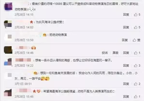 难得一见海洋动物表演,看不完的海洋动物和表演