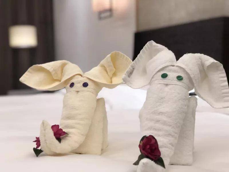 东莞康帝国际酒店自助早餐,东莞康帝酒店中餐价格