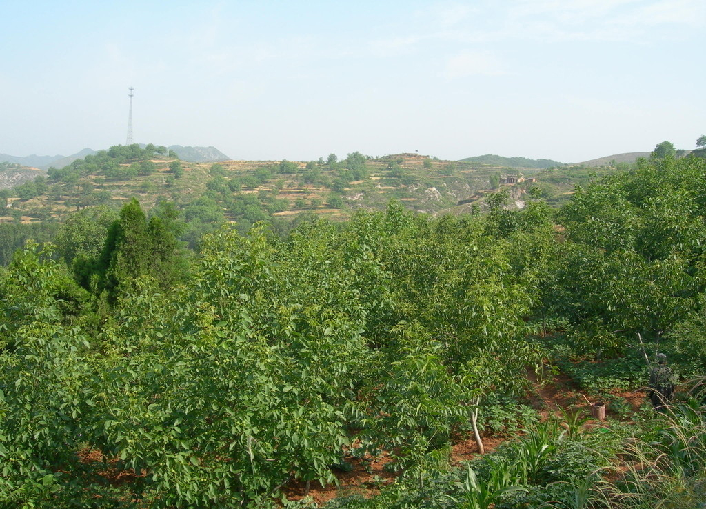 中阳县长田安平直播带货两小时成交额破百万