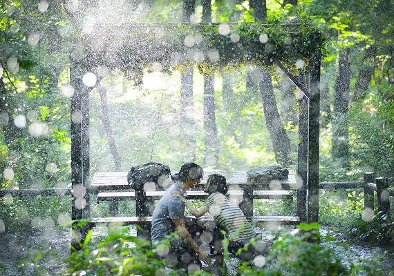 婚礼前出轨的新娘,婚礼前他出轨了