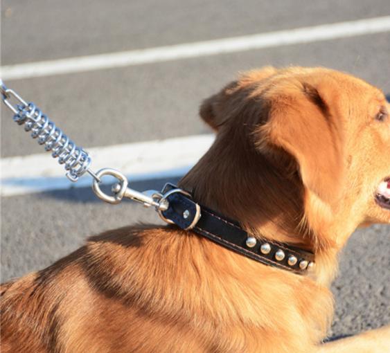 小狗吃自己拉的臭臭怎么处罚,小狗吃自己拉的臭臭因为什么