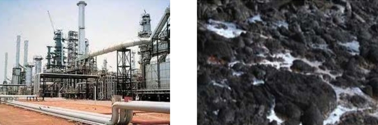 污油泥处理工艺流程,环境污染治理技术