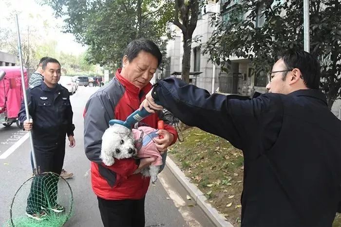 马鞍山流浪狗救助中心在哪里,曝光流浪狗救助真相