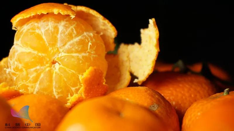 吃橘子引发的恐怖事件,吃橘子变小黄人怎么回事