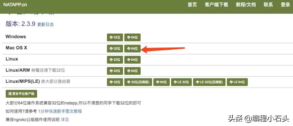 内网穿透服务器搭建教程,低成本搭建内网穿透服务器