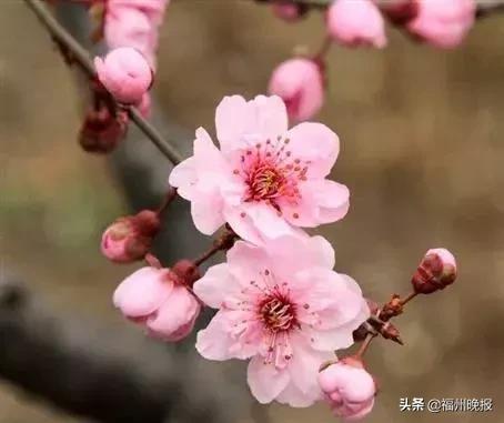 福州东街口去景点方便吗,东街口福州游玩