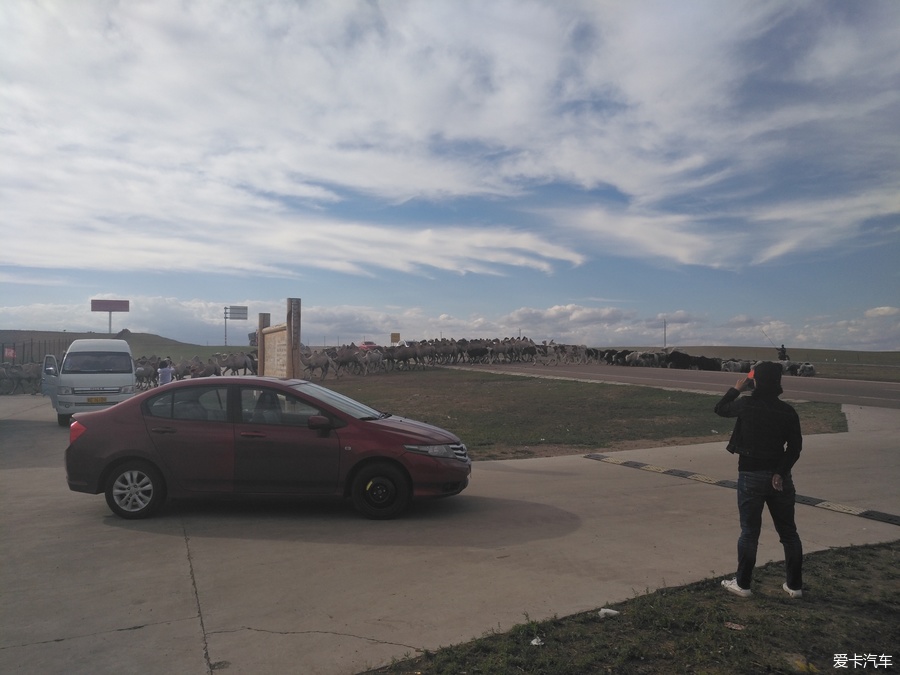 自驾囧途时刻,自驾游闯关东视频