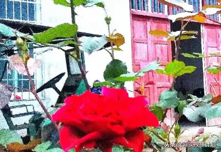 2020结束了,2020快要结束了