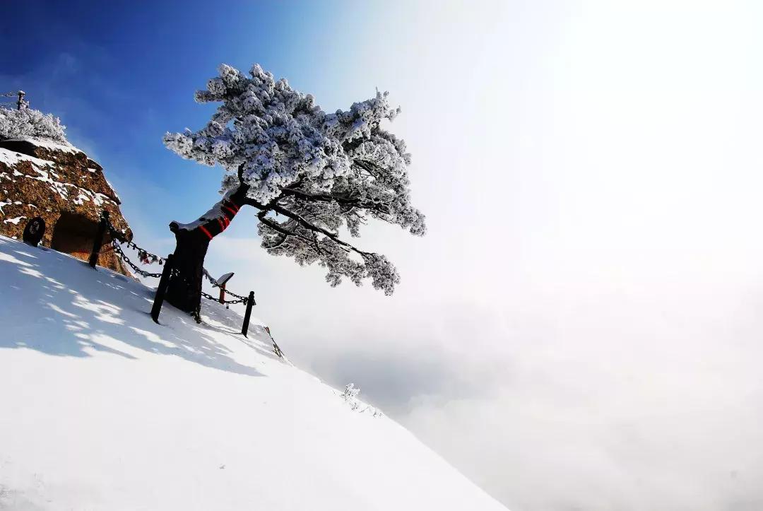 冬游华山,冬游华山景区