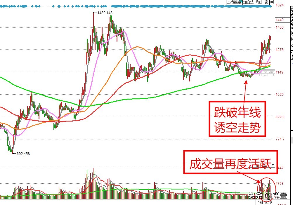 券商板块南京证券分析,券商板块中哪些股票成长性最强