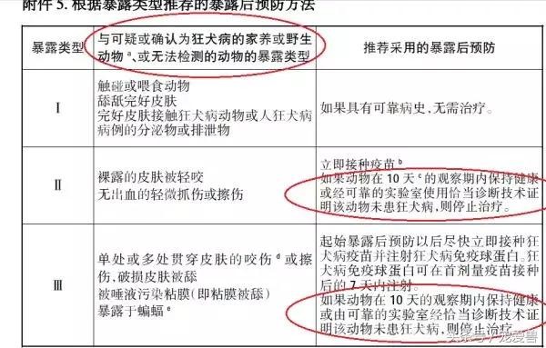 被猫狗抓伤咬伤该打什么疫苗,猫狗抓伤有必要打疫苗吗