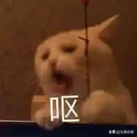 淘宝禁止已经购买的顾客下单,淘宝禁售化妆品