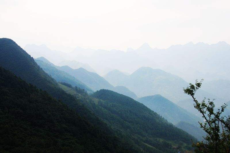 万源中学中考成绩,今年万源高考谁是第一名