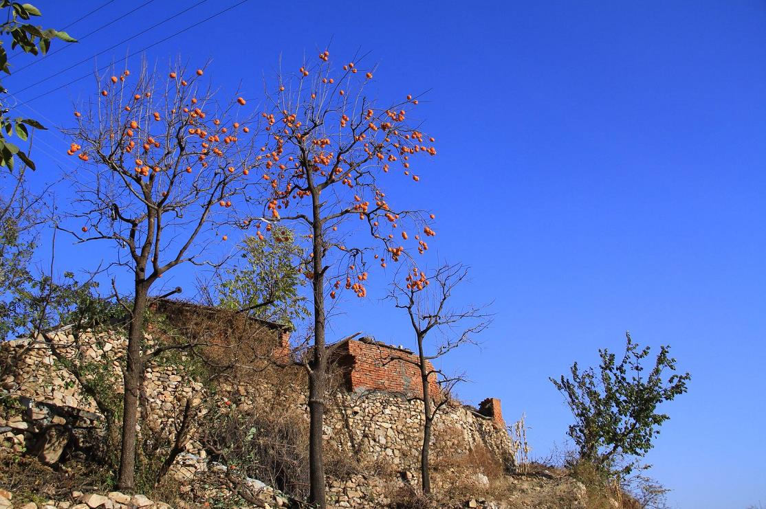 影像记录｜遇见最后一抹秋色——承德兴隆陡子峪乡蜂洞子