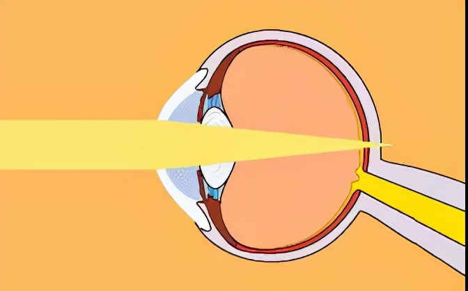 生命汇国际整合医疗怎么样,生命汇国际整合医疗