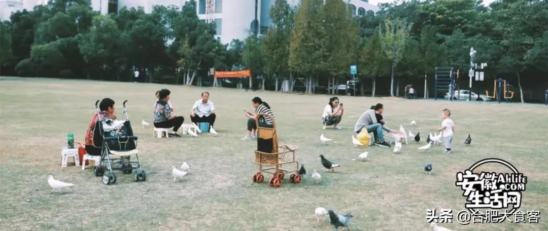 2020年,在这50个地方遇见不一样的合肥