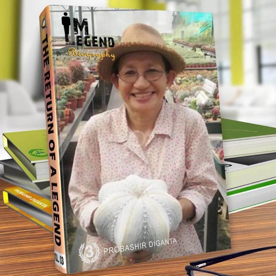 一棵多肉直播间,一元一棵多肉直播间