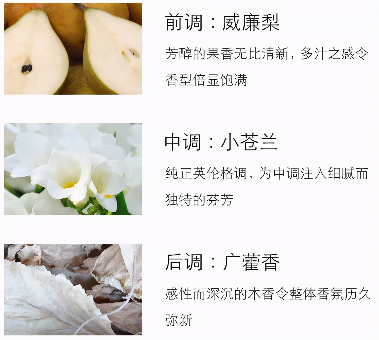 适合一年四季用的大牌香水,香味可持续一整天的10款香水