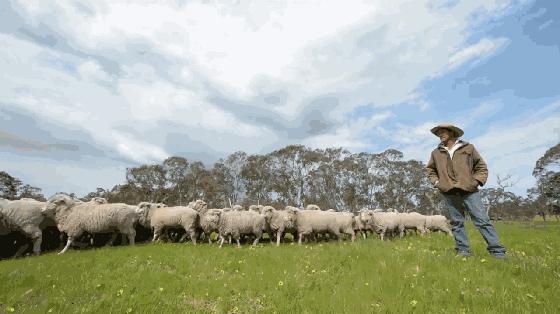 新皮衣皱了怎么快速弄平,皮衣加棉皱了怎么快速弄平