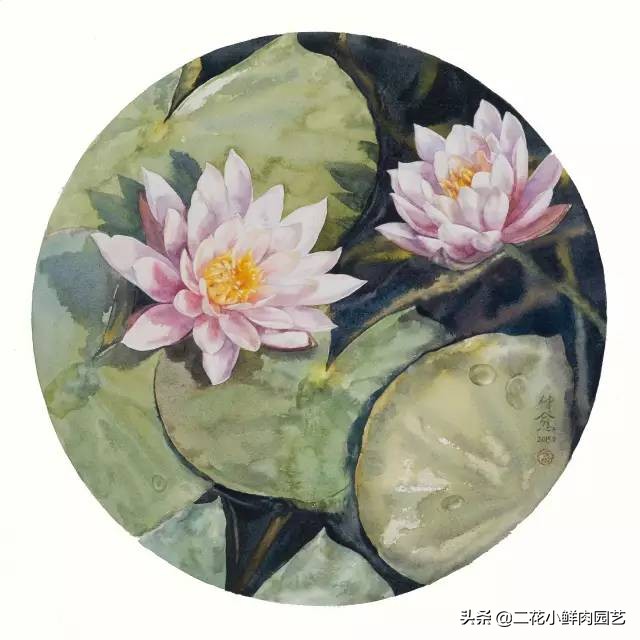 100种花卉绘画,100多张花卉线描手稿素材赶快收藏