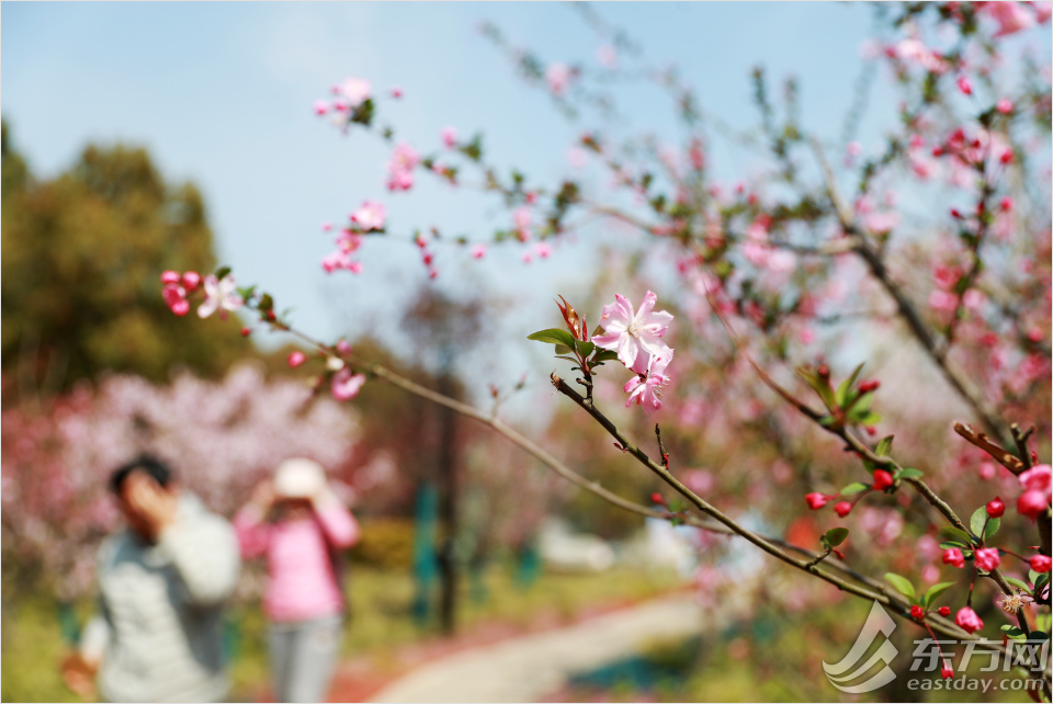 冬日暖阳黄兴公园的美景,公园黄兴公园