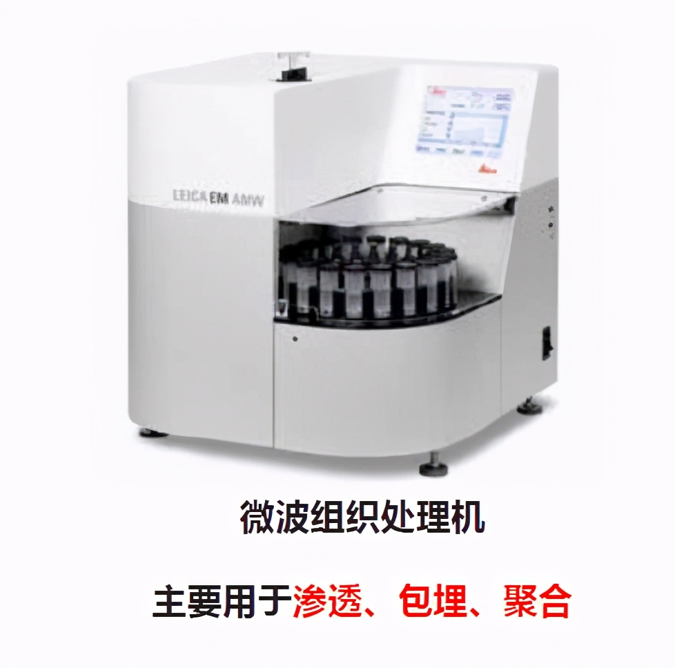 超薄切片教程,超薄切片制作